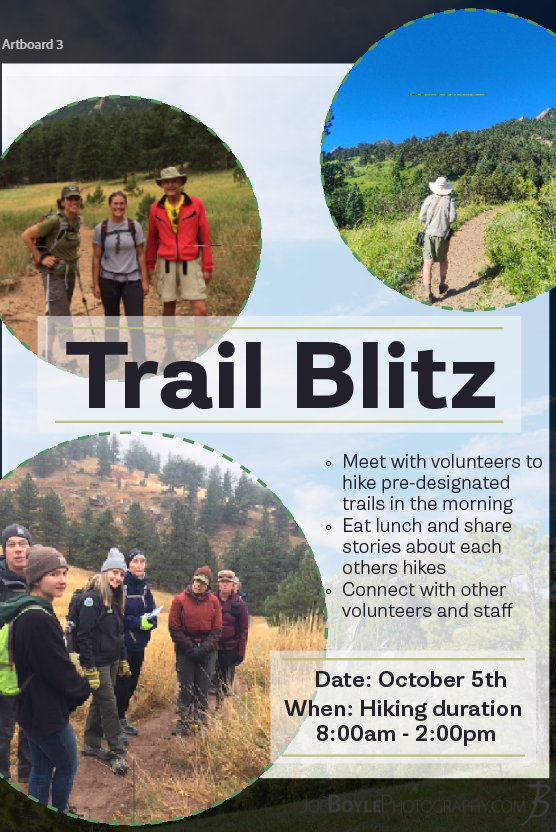 Screenshot 2025-12-18 203747